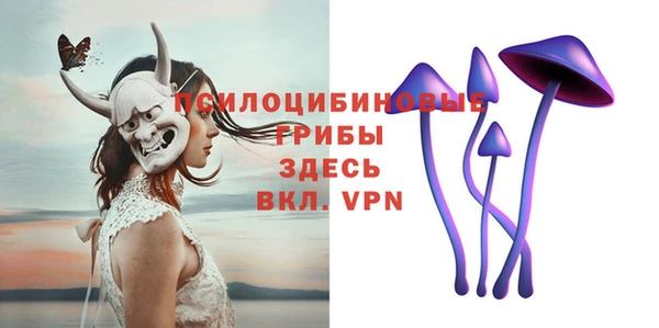 молекула духа Баксан