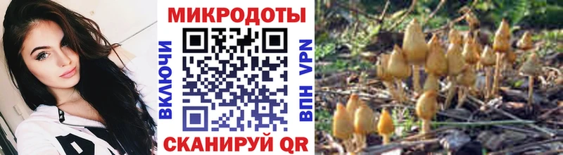нарко площадка телеграм  Куртамыш  Галлюциногенные грибы GOLDEN TEACHER 